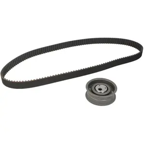 INA 530 0154 10 Kit de distribution