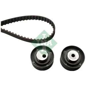 INA 530 0103 10 Kit de distribution pas cher