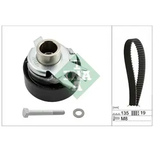 INA 530 0199 10 Kit de distribution pas cher