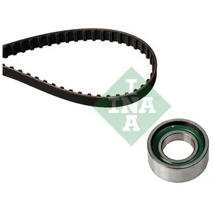 INA 530 0205 10 Kit de distribution