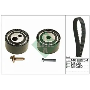INA 530 0446 10 Kit de distribution