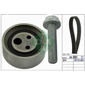 INA 530 0490 10 Kit de distribution