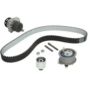 INA 530 0201 30 Pompe à eau + kit de courroie de distribution pas cher