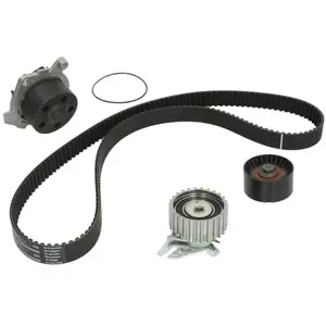 INA 530 0227 30 Pompe à eau + kit de courroie de distribution pas cher