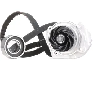 INA 530 0009 30 Pompe à eau + kit de courroie de distribution pas cher