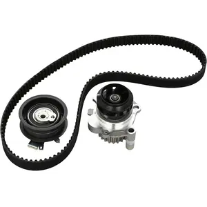 INA 530 0171 30 Pompe à eau + kit de courroie de distribution pas cher