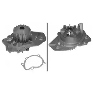 Comparateur de prix : INA 538 0019 10 Pompe à eau