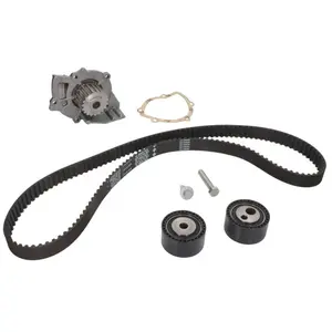 INA 530 0234 30 Pompe à eau + kit de courroie de distribution