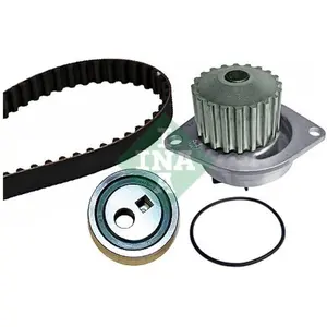 Comparateur de prix : INA 530 0252 30 Pompe à eau + kit de courroie de distribution