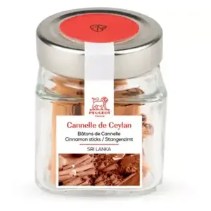 Epice PEUGEOT batons de cannelle pas cher