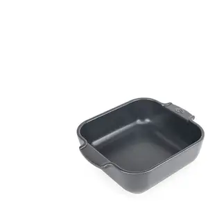 Comparateur de prix : Plat à four carré Appolia céramique ardoise  21 cm Peugeot