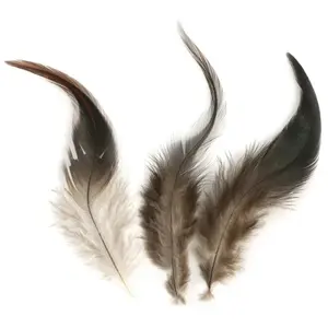 Comparateur de prix : Rayher Plume de Coq Brun foncé 10/15 cm 3 g