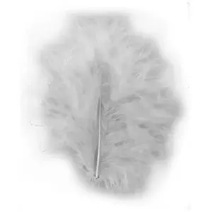 Rayher Plumes - Gris - 8 cm - 10 pces pas cher