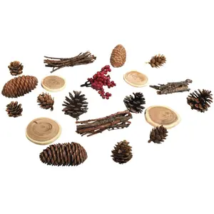 Rayher Décorations naturelles automne et Noël - 20 Cônes, bois et baies pas cher