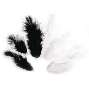 Rayher Hobby Plumes - Noir et blanc - 3-10 cm - 10 g