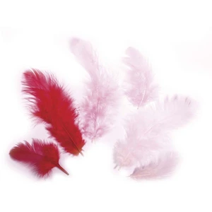 Comparateur de prix : Rayher Plumes - Rouge et rose - 3-10 cm - 10 g