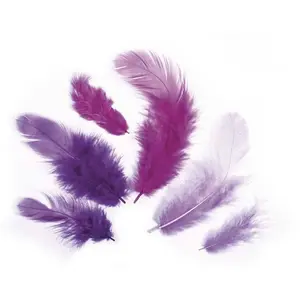 Comparateur de prix : Rayher Plumes - Camaïeu violet - 3-10 cm - 10 g