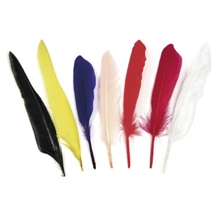Comparateur de prix : Rayher Plumes indiennes - 17,5 cm - 12 pces
