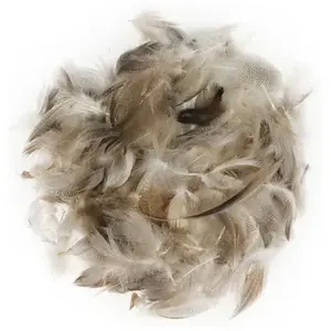 Comparateur de prix : Rayher 8515500 Pepita Mélange de plumes 7-9 cm 10 g.