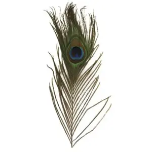 Comparateur de prix : Rayher Plume De Paon, 25 Cm, 25 Cm, 3 Pièces