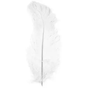 Comparateur de prix : Rayher Plume d'autruche - Blanc - 30 cm