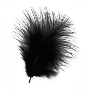 Comparateur de prix : Rayher Plumes - Noir - 8 cm - 10 pces