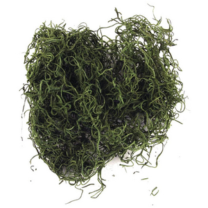 Comparateur de prix : Rayher Mousse de jungle 20 g Vert