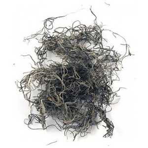 Rayher Mousse de jungle 20 g Nature pas cher