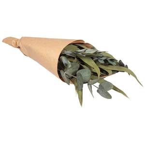 Rayher Branches d'eucalyptus séchées av. manchette papier 30-35cm ass., 85493000 pas cher