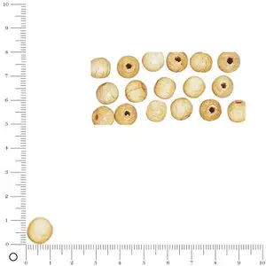 Comparateur de prix : Rayher Perles en bois - Polies - Nature - 12 mm - 32 pcs