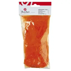 Rayher Plumes - Orange - 5-10 cm - 5 g pas cher