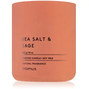 Blomus Fraga Sea Salt & Sag bougie parfumée 290 g pas cher