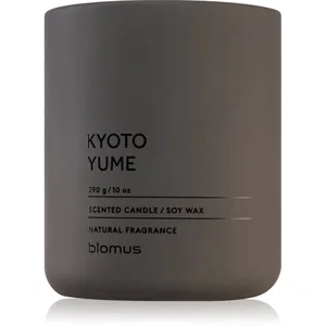 Blomus Fraga Kyoto Yume bougie parfumée 290 g pas cher