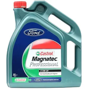 Huile moteur Castrol 151A95 pas cher