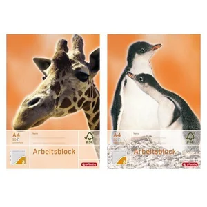 Herlitz 00215038 Bloc de travail X. book, DIN A4, linéature 3