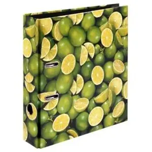 Falken HERLITZ 10485134 CLASSEUR A4 S80 (CITRONS)