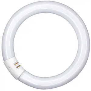 Osram AA408170155-circulaire Tube Fluorescent/l32 865-32wVendu parampoulepascher
