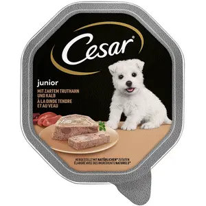 Barquettes Cesar pour chien 8, 14, 24 x 150 ou 24 x 100 g : 15 % de re... pas cher