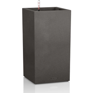 Comparateur de prix : Lechuza - Jardinière canto Stone 30 High all-in-one Noir graphite Noir