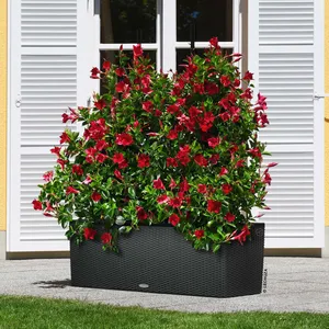 Comparateur de prix : Jardinière Lechuza Trio Cottage granit 100 x 32 x h.34 cm