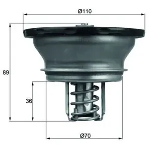 Comparateur de prix : MAHLE Aftermarket Thermostat d'eau (Ref: THD 3 76)