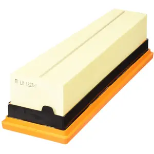 Mahle KNECHT FILTER Filtre à air pour BMW: X6, X5 (Ref: LX 1823/1) pas cher