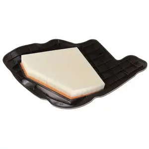Filtre à air LX 1685/5 Mahle LX1685/5 pas cher