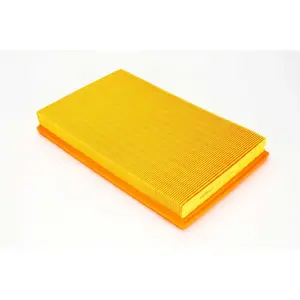 Mahle KNECHT FILTER Filtre à air pour OPEL: Vectra & VAUXHALL: Vectra (Ref: LX 613) pas cher