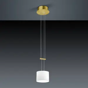 BANKAMP Grazia Suspension LED à 1 source lumineuse, 2149/1-01,