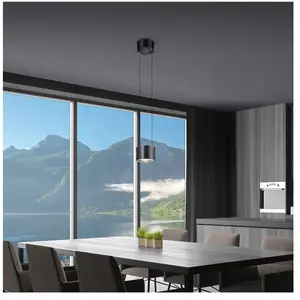 BANKAMP Impulse suspension LED 1 lampes anthracite
