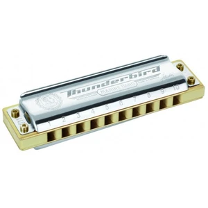 Hohner Thunderbird Low F/fa Grave - 10 Trous