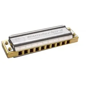 Comparateur de prix : Hohner ThunderBird - Ré grave - Harmonica diatonique