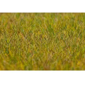 Faller Modélisme : Végétation : Fibres de flocage premium, Prairie, vert clair pas cher