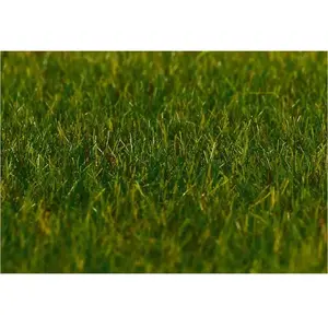Comparateur de prix : Faller Modélisme : Végétation : Fibres de flocage premium, Herbe, vert foncé
